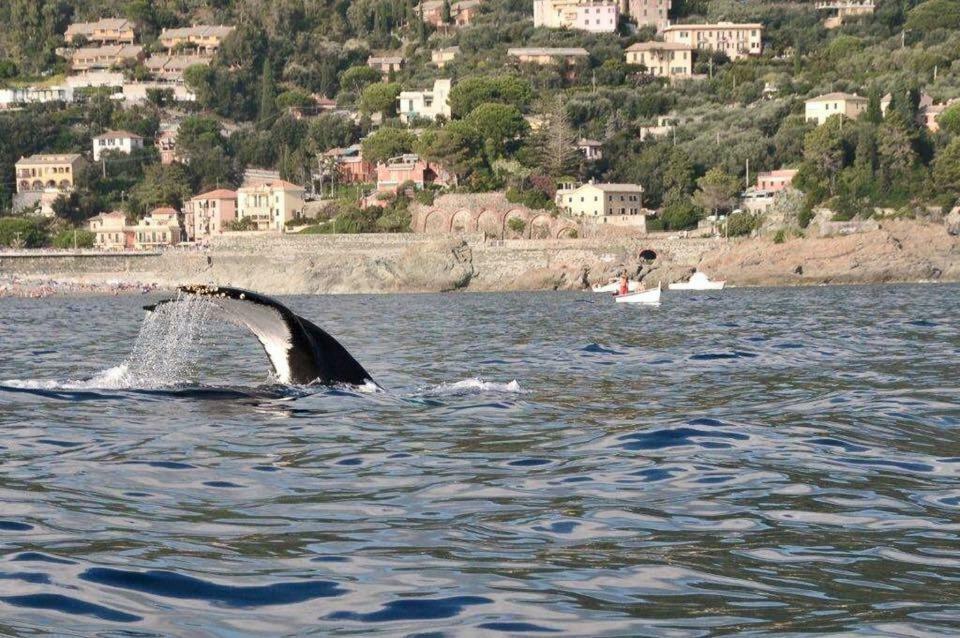 Casa Vacanza Angela Βίλα Bonassola Εξωτερικό φωτογραφία